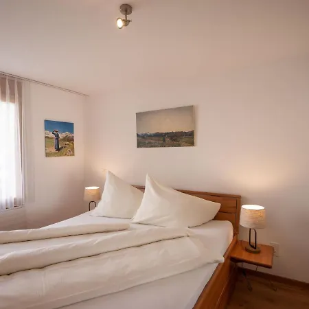 Chesa Piz Cotschen 3 By Interhome Apartment Pontresina